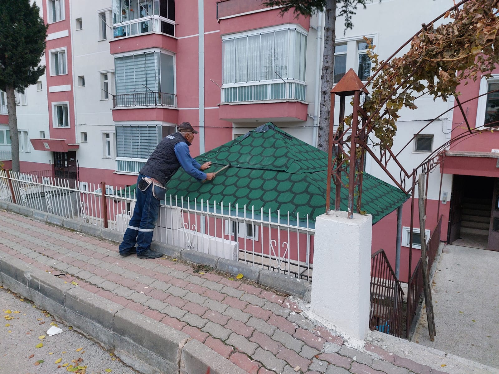 Kamelya Yapımı Uygulaması